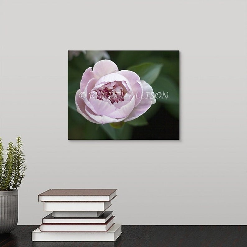 New canvas print options have been added to my Etsy shop to raise money for medical costs. 

Check it out: etsy.com/shop/FineArtPh…