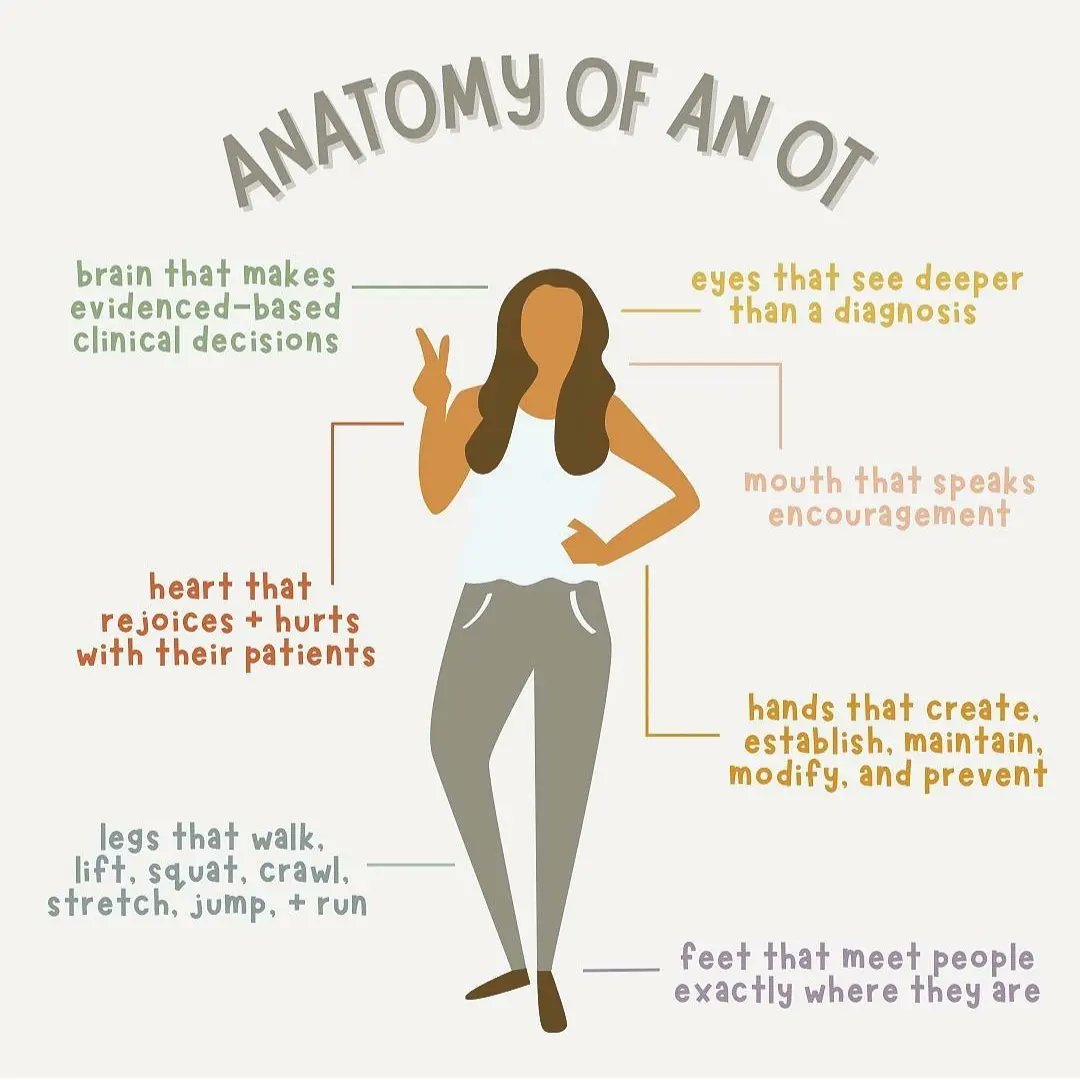 theOThub's tweet image. 🫀🧠👁🦶🏽 This is our kind of anatomy lesson! Great advocacy image for our profession of #OccupationalTherapy, from @happylittleot on Instagram 👏🏼 

Featured: theOThub.com/career.