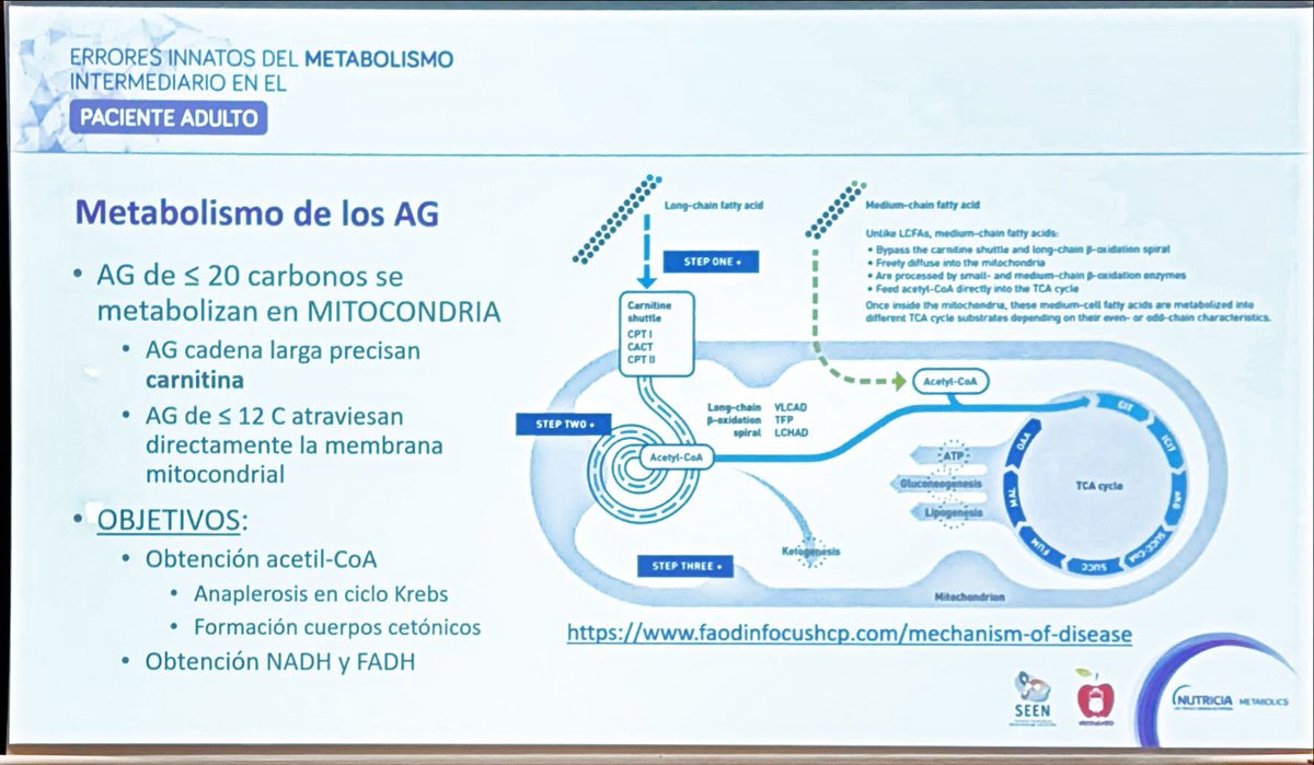 ElenaDF75's tweet photo. Curso #EIM @sociedadSEEN @NutriSeen
@doutorpita Trastorno #BetaOxidación
Acúmulo de Acilcarnitinas y deplección de Acetil-CoA
-Hipoglucemia hipocetosica
- Miocardiopatía
-Miopatía
#CPTII forma adulto: causa más frecuente de rabdomiolisis hereditaria
@Aecom_EIM https://t.co/RmIiaKHhu1
