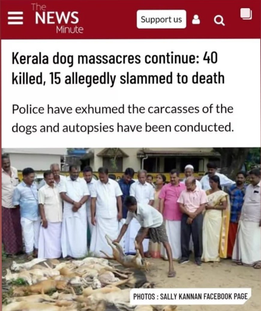 HarmminderS's tweet photo. Behaviour of so called ‘Highest literacy rate’ state people...! Please stop mass killing of stray dogs. 
#Kerala #Keraladogs
@PMOIndia
@narendramodi @Manekagandhibjp @peta @The_Blue_Cross @MoveTheWorldIN @PetaIndia https://t.co/XO6554qPBO