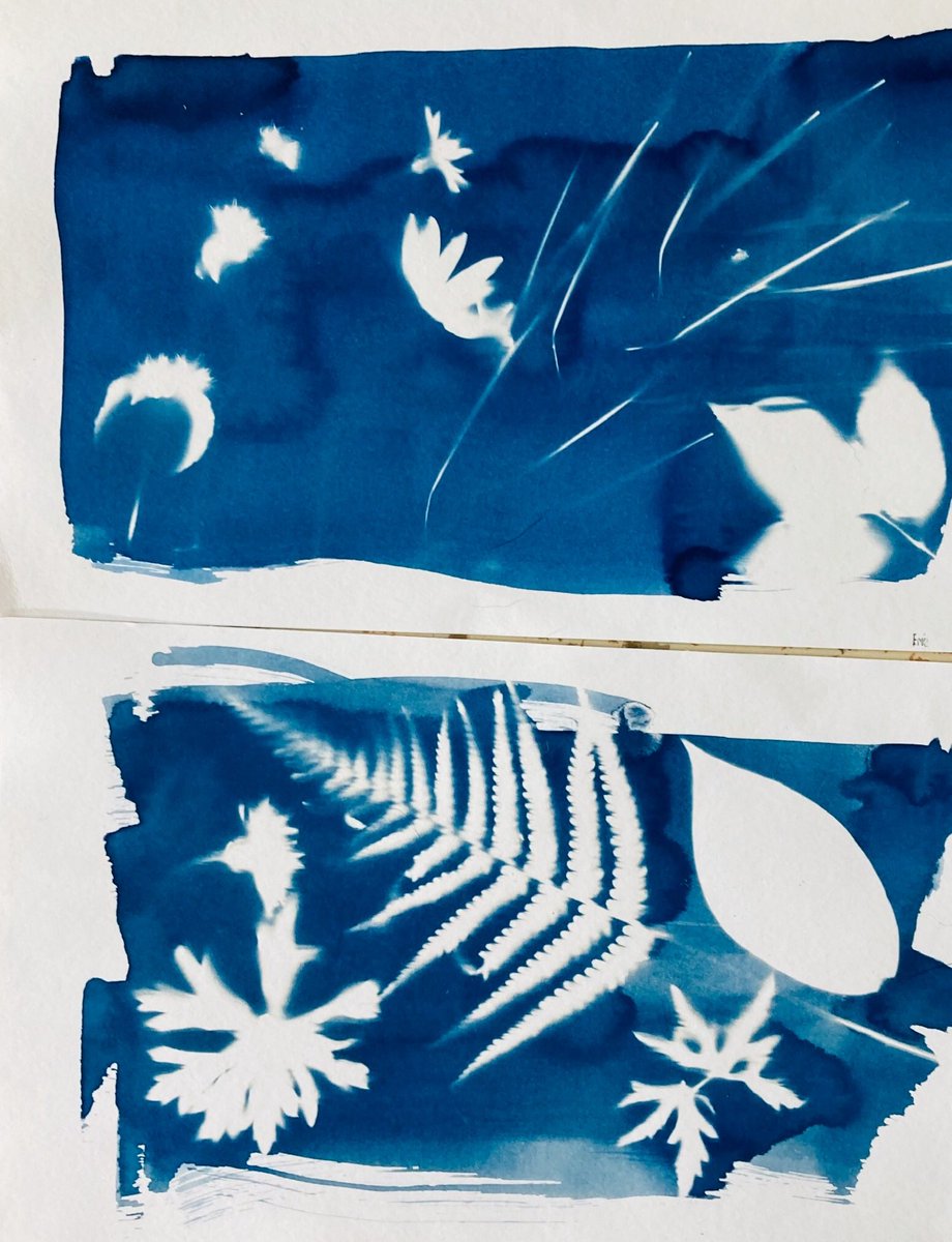 KateBellis7's tweet photo. We had so many lovely visitors, really enjoying #earthboundproject #Cyanotype and #earth pigment drawing workshops, A great end to this first part of our EarthBound journey. Art is for everyone! The workshops were free and for all ages! Thank you @longcliffe #community fund. https://t.co/TrwZpi36rJ