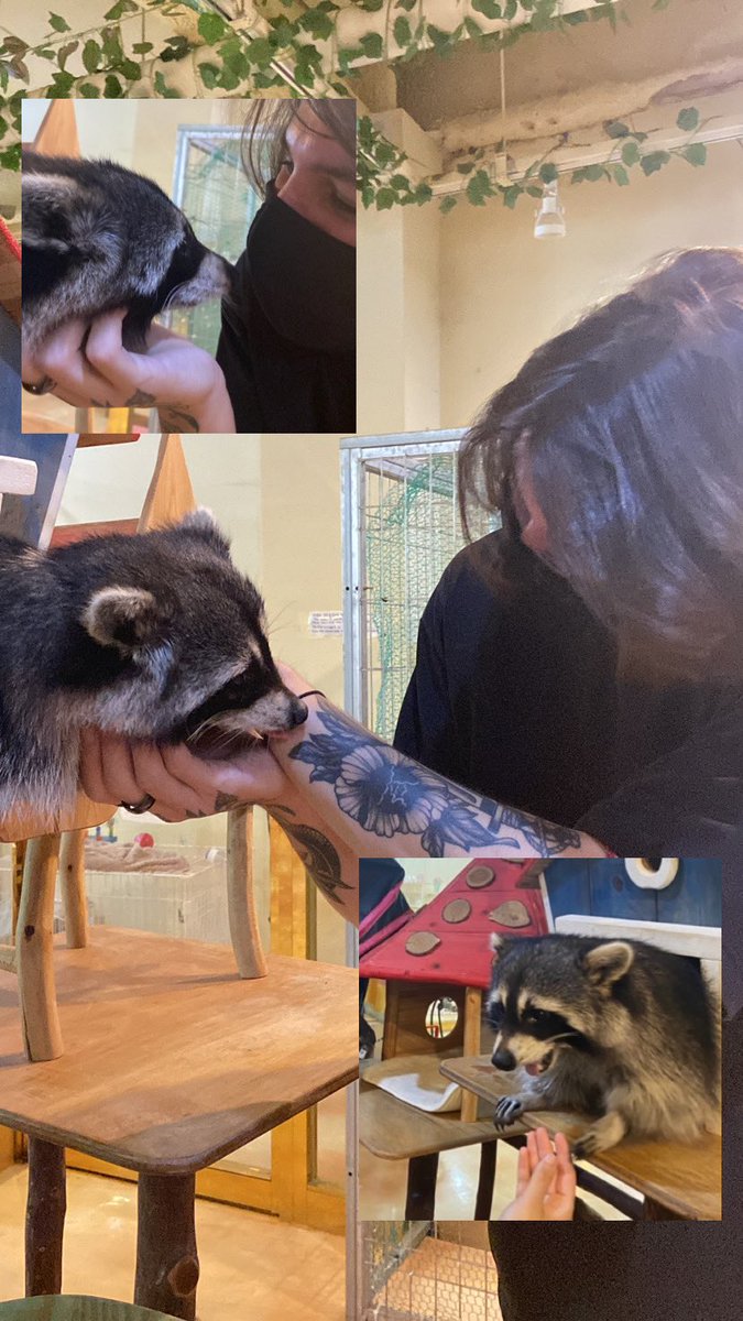 플로리안 tweet media