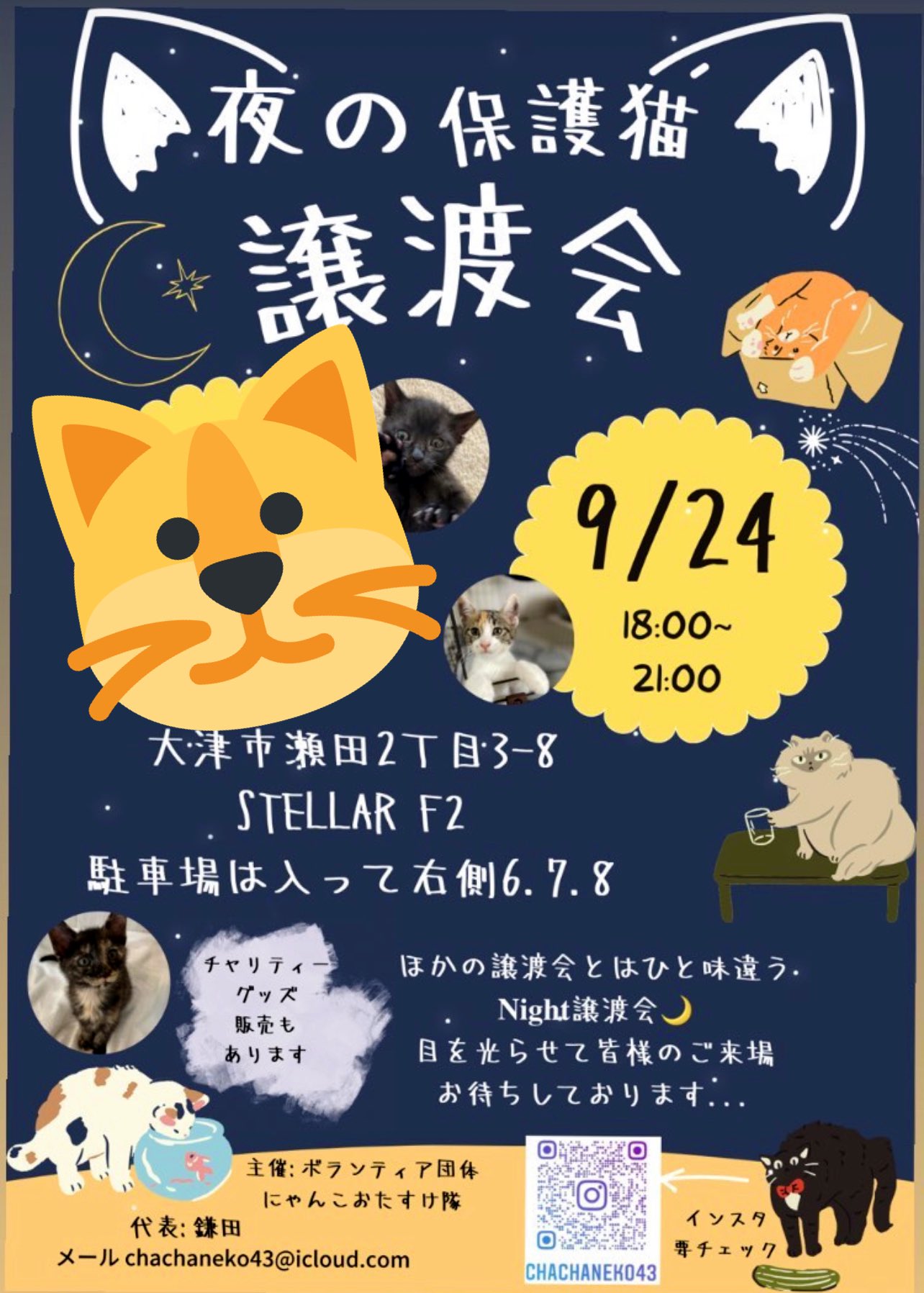 学生ボランティア団体にゃんこおたすけ隊代表 Chachaneko1 Twitter