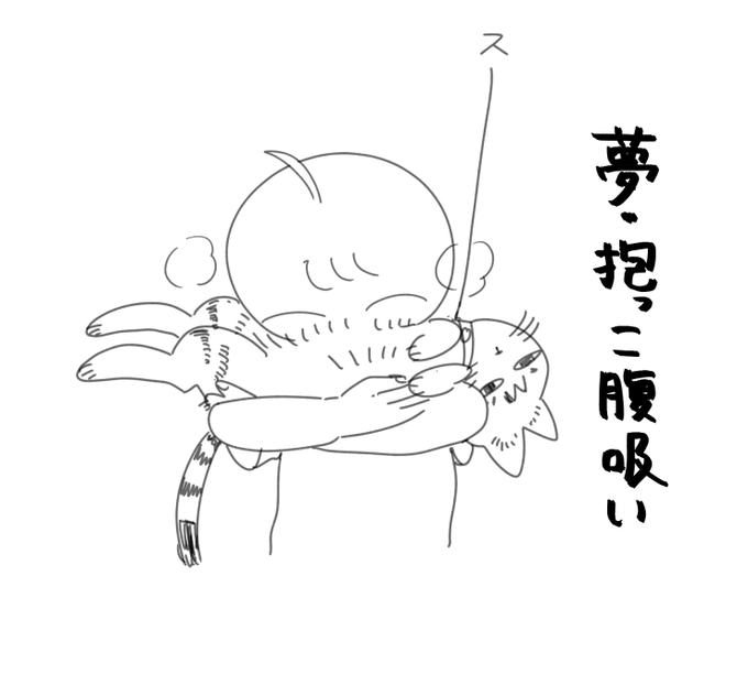 抱っこ嫌いなお猫を約1年ほんのり訓練して遂にここまでできるようになりました 