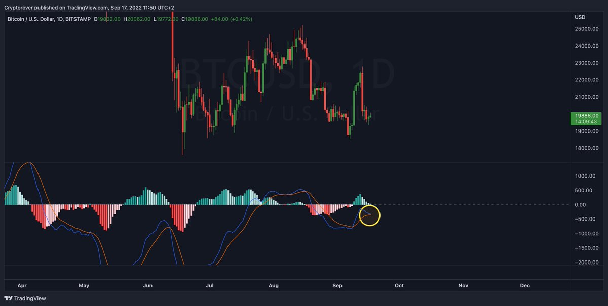 cryptorover's tweet photo. #Bitcoin Daily MACD Bearish Cross! 😱👇 https://t.co/z6LKkornHC