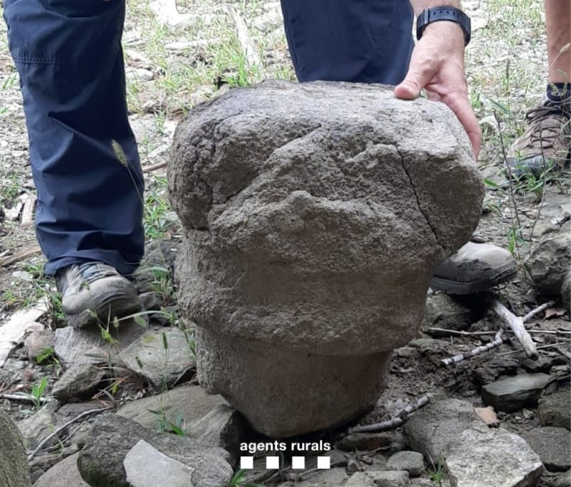 agentsruralscat's tweet photo. Gràcies a l'avís d'un ciutadà, col·laborem amb @cultura_cat en la recuperació d'un possible capitell romànic, trobat al Pantà de Sau, que podria ser procedent del monestir de Sant Pere de Casserres (Osona).

La peça s'ha depositat en custòdia a l'@AJVilanovadeSau. https://t.co/wUvHqxL7vm