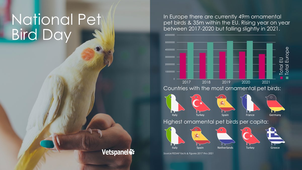 Vetspanel's tweet photo. Today is National Pet Bird Day, a day to celebrate the fun and beauty that comes with having a pet bird.

According to historians, birds have been kept as pets for up to 5000 years! When taken care of some species can live up to 50 years. 

#PetBirdDay #NationalPetBirdDay https://t.co/F77qHYhhri