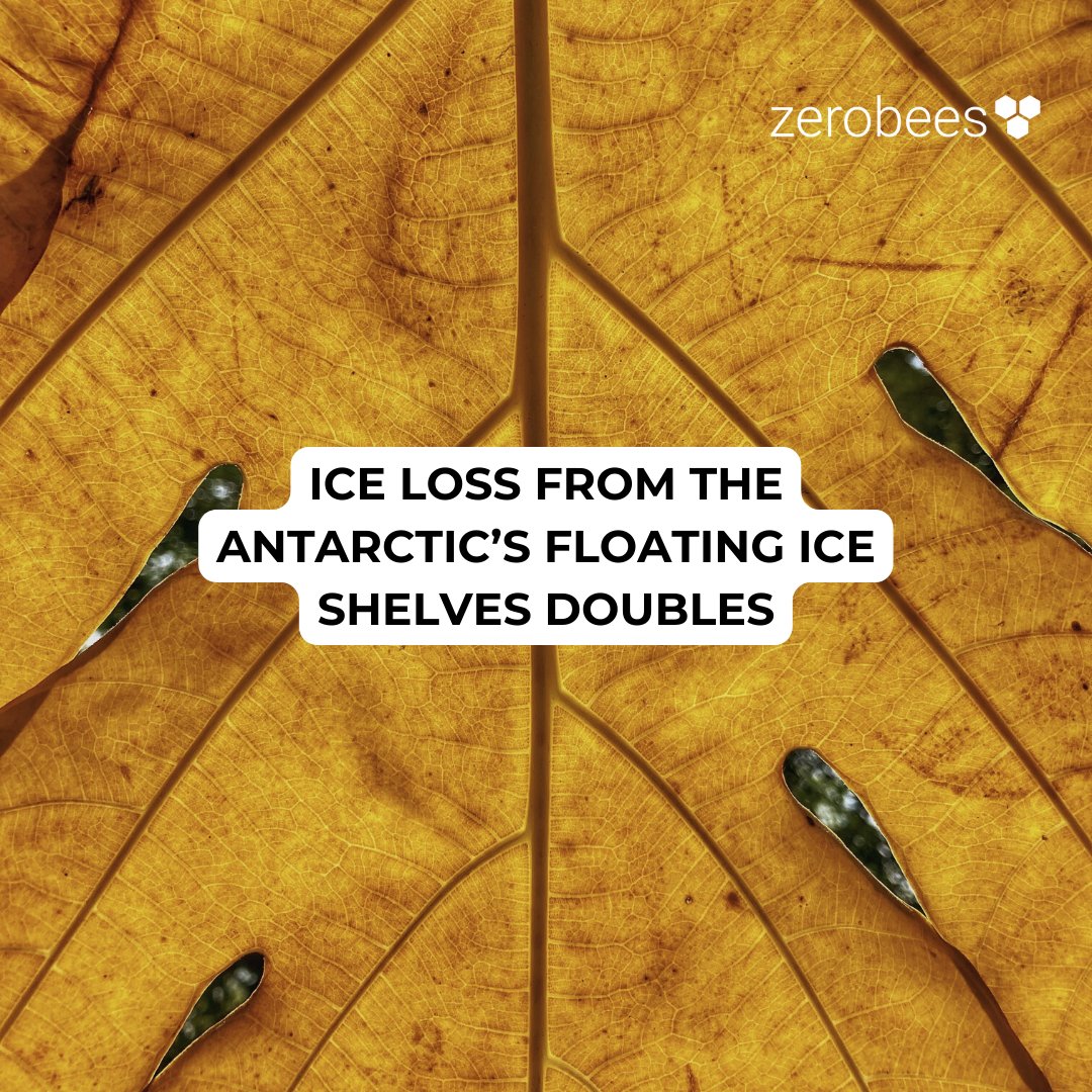 Zerobees2's tweet photo. How quickly Antarctica will lose ice as the world's temperatures increases, is the biggest unknown in predictions of sea level rise! 

The amount of ice lost from Antarctica's floating ice shelf since 1997 has increased from 6 trillion to 12 trillion metric tonnes. https://t.co/Sfr0mnNc9P