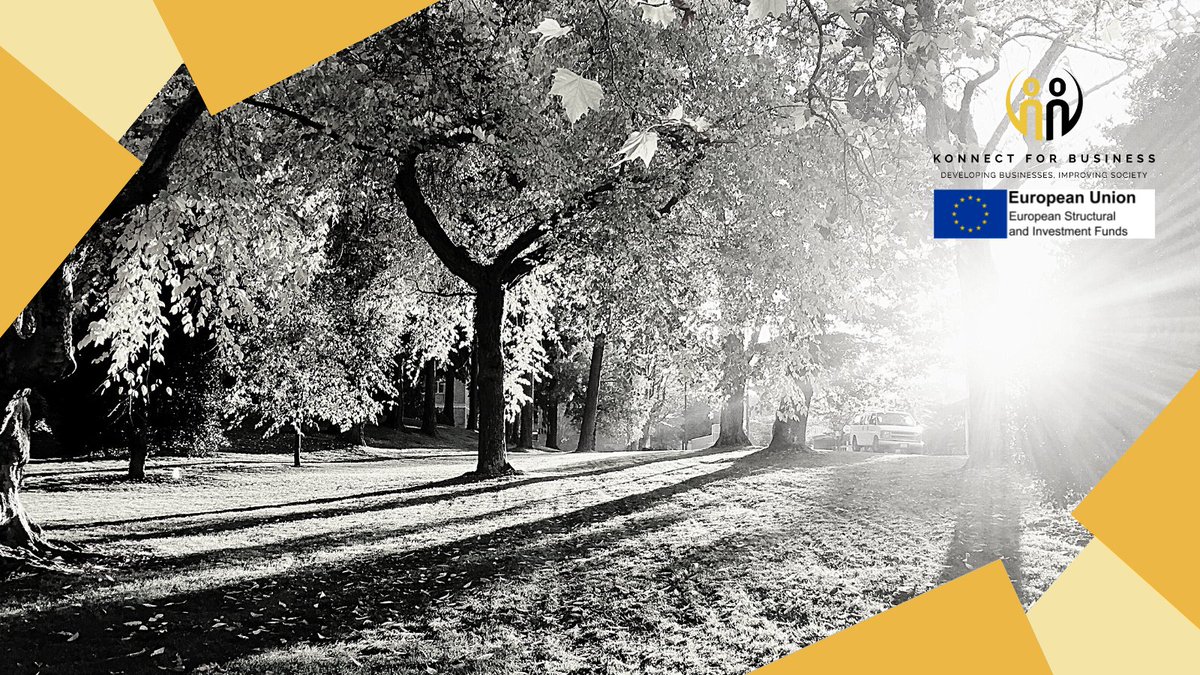 Konnect For Business tweet media