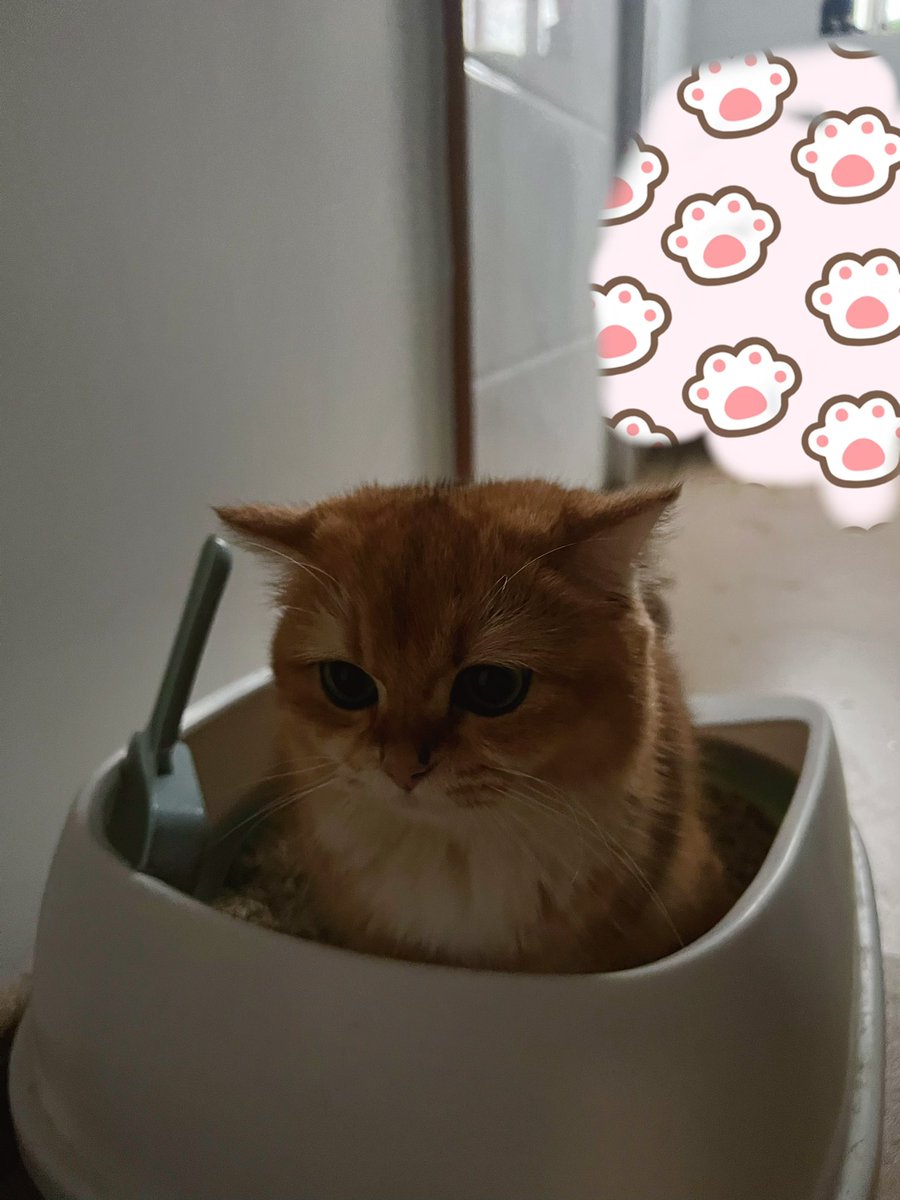 最近感慨万千，玩币还是精神压力大，体检发现身体有个大囊肿了，需要手术了，以后得注意身体了，不能熬夜了，小伙伴要引以为鉴呀