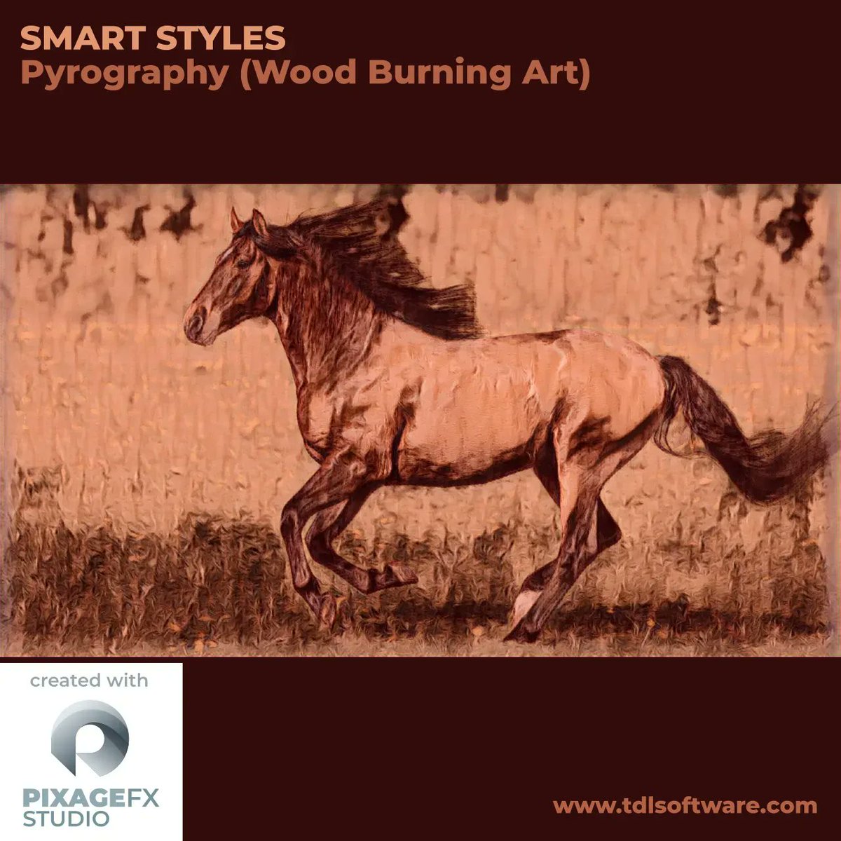 mbeytekin tweet media