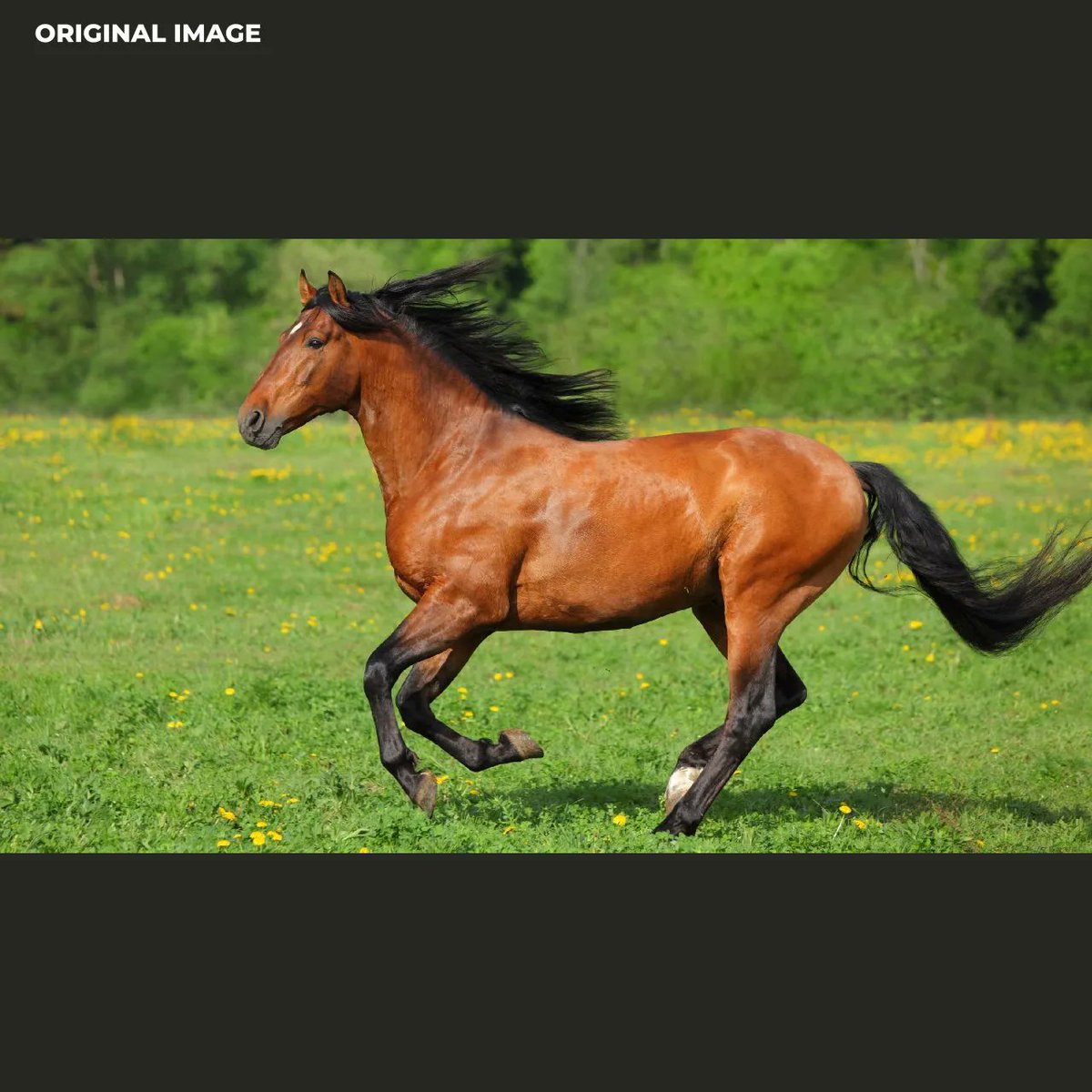 mbeytekin tweet media