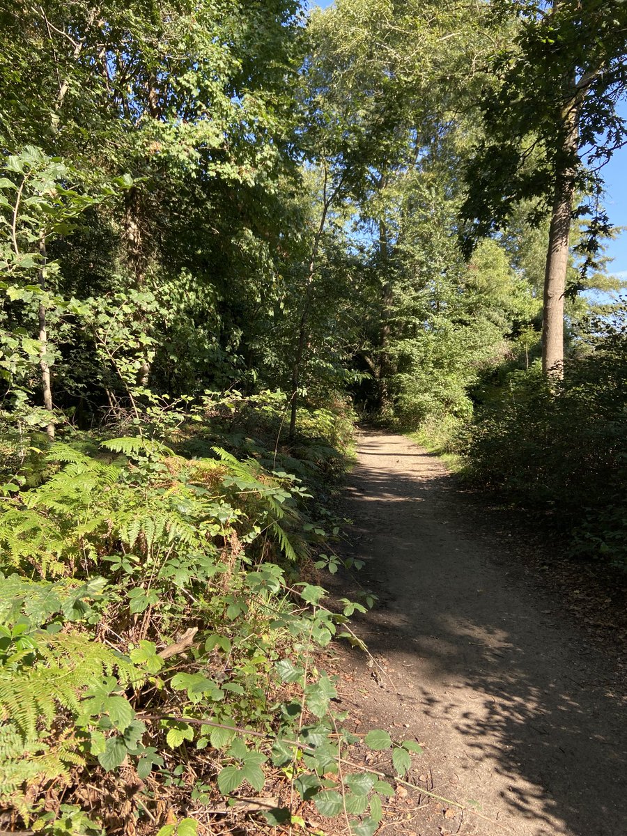 vanya_damyanova's tweet photo. 4 miles in this beautiful place. Feeling like a champ 🏃🏻♀️💯 #running #weekend #cardioforlife https://t.co/vDrBUvoUng