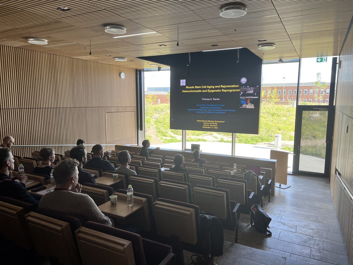 First Aging Musle symposium in Aarhus  is now on its second day. Thank you very much to all the excellent speakers and engaged participants. We will hopefully repeat this in the future