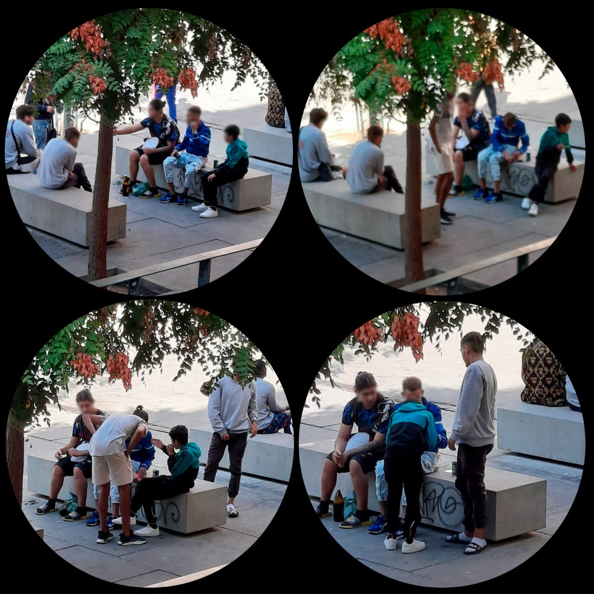 Desde bien temprano en la plaza Nelson Mandela ocurre esto. Un niño pequeño está "fumando" algo, otros están "cortando" algo. Esto ocurre 24 horas al día 7 días a la semana, pero <a href="/AlmeidaPP_/">José Luis Martínez-Almeida</a> <a href="/fernandezsj/">José Fernández Sánchez</a> <a href="/policiademadrid/">Policía Municipal de Madrid</a> <a href="/policia/">Policía Nacional</a> han abandonado #Lavapies ¿Por qué?