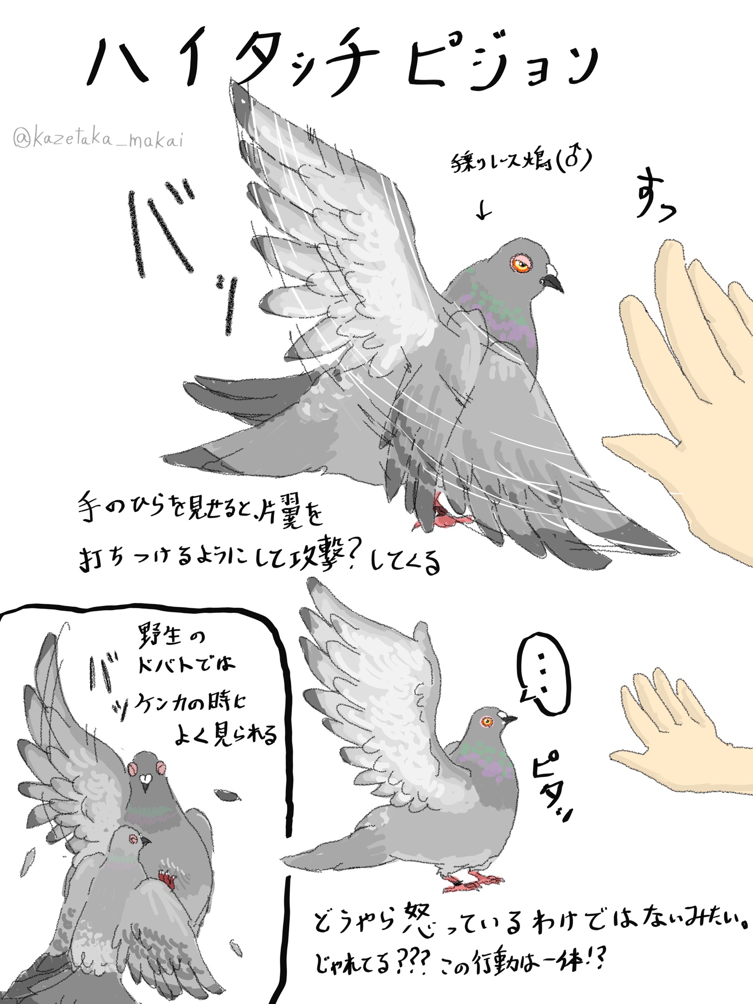 風鷹(かぜたか) on X: 