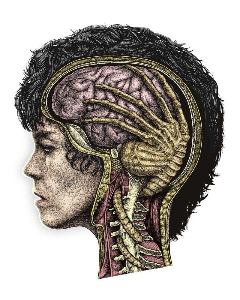 GetFitraApp's tweet photo. How Porn changes your Brain : https://t.co/APQMaun9Dn