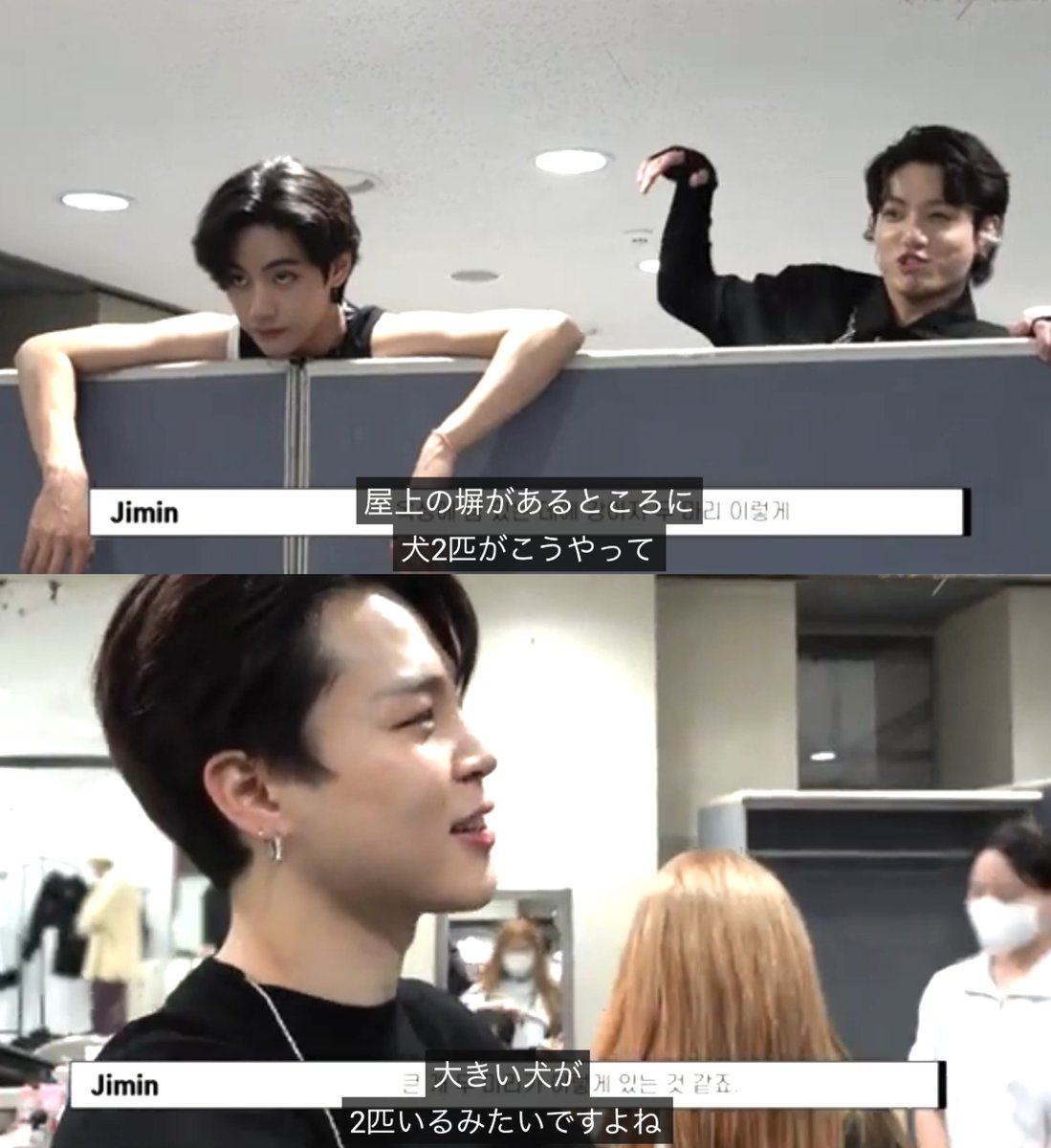 パジミにとってこの二人は永遠に可愛いわんこなんだろなあ…
よく懐くけどやんちゃで自由で手がかかる可愛いわんこ