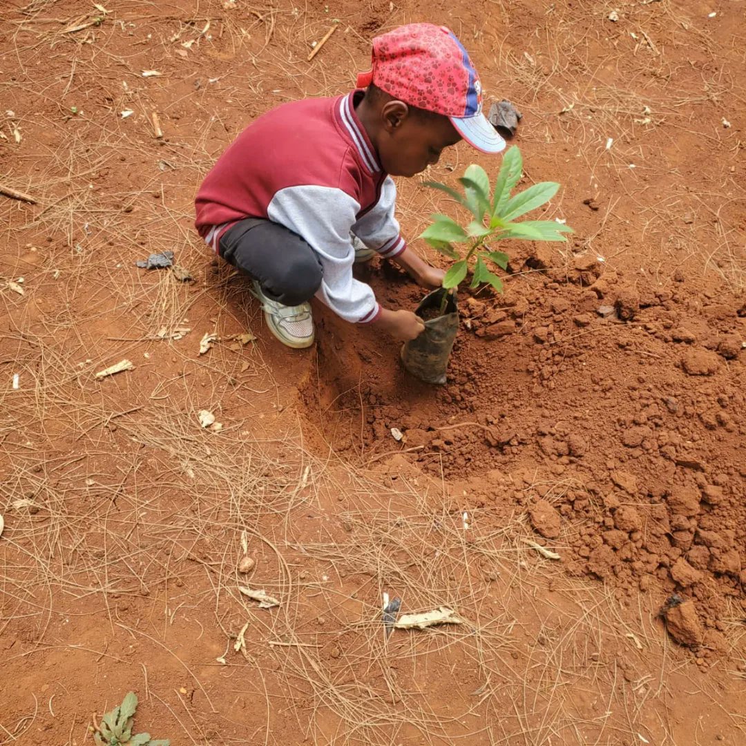 TME_254's tweet photo. 💚 We are privileged to be planting trees today at Rithimitu Primary School

💚This is how we interact with the younger generations and talk to them about the importance of taking care of the environment and the various ways that they can do it #hummingbirdawards
#worldcleanupday https://t.co/LfsEMhkz5e