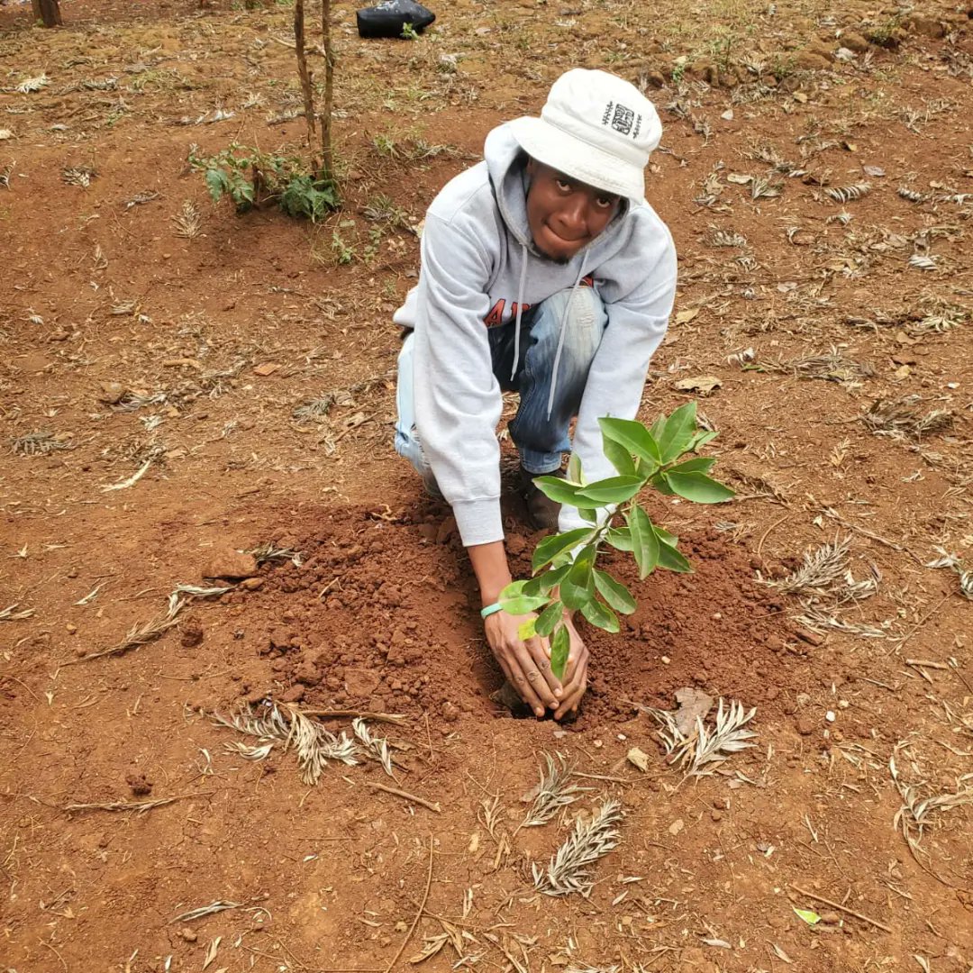 TME_254's tweet photo. 💚 We are privileged to be planting trees today at Rithimitu Primary School

💚This is how we interact with the younger generations and talk to them about the importance of taking care of the environment and the various ways that they can do it #hummingbirdawards
#worldcleanupday https://t.co/LfsEMhkz5e