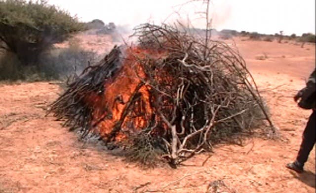 SNRDA2019's tweet photo. Between 2001 &amp; 2021, Somalia lost 429,000 hec of tree cover, the equivalent of a 4.9% decrease in tree cover in almost the same period &amp; created 840,000 tons of carbon dioxide equivalent emissions
@JustAwHirsi
@gabowduale
@HodderClimate @RuwaydaMustafah @sayidwarsameA
@saeedwafaa https://t.co/LgGQOelx5u
