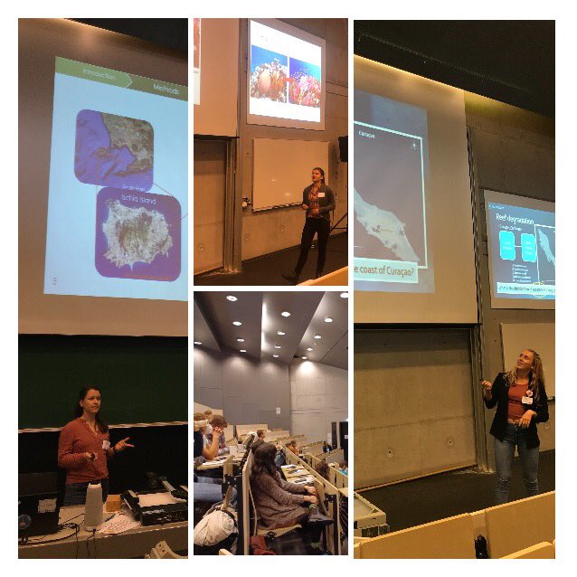 SelmaMezger's tweet photo. #ICYMARE2022 is over: 3 days full of interesting talks, workshops, and conversations. Super happy about all the new connections I made, and the diverse session I hosted with @SuperSeagrass Johanna Behrlinghof about (Sub-)Tropical Ecosystems in a Changing Environment! https://t.co/uMAm9NWJLg