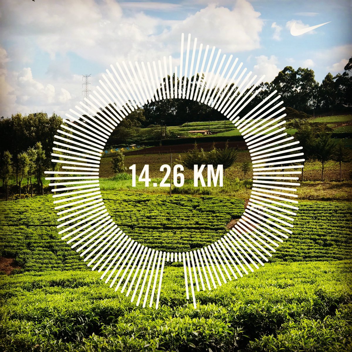 GesoraMwasi's tweet photo. Marathon Prep!
#MorningRun #14K #14kRun #NRC #Running #Nike #Fitness #RunnersCommunity #Motivation #Mindfulness #JustDoIt #NikeRunning #Workout https://t.co/Xc6dBmbiTo