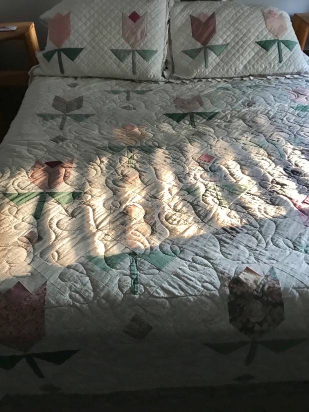 Mini vacation. This is the quilt on the bed. Enjoy a beautiful day!