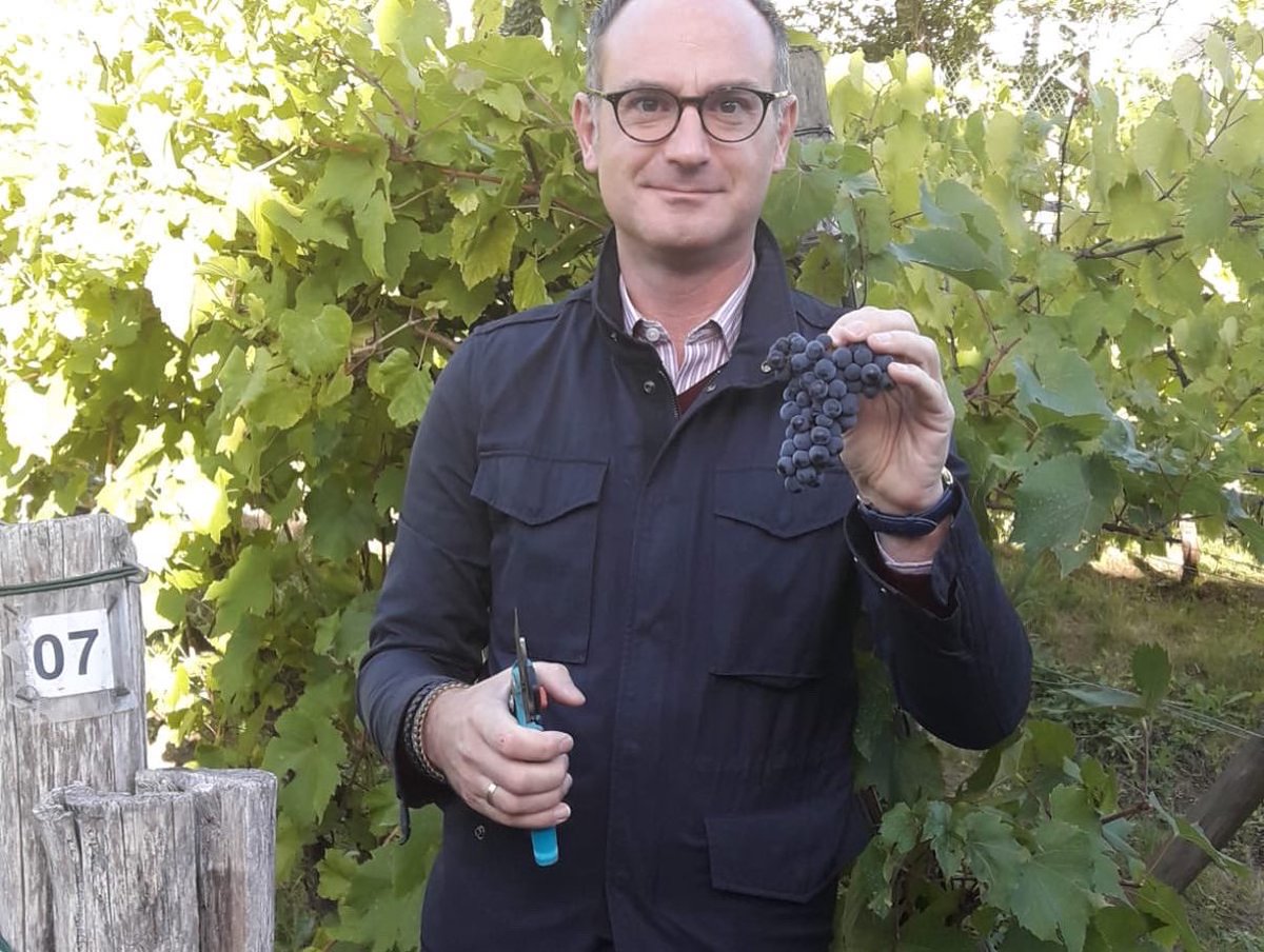 alexandrepueyo's tweet photo. C’est les #vendanges à #Jouy 🍇
Comme chaque année c’est un plaisir de participer à ces traditionnelles vendanges.
Le cépage #Braco fait aussi parti de notre patrimoine, pour le fameux vin 🍷 local, le #Ginglet
#jouylemoutier #cergypontoise #vin #valdoise #cergy2 #vignes https://t.co/iw9txZqhCw
