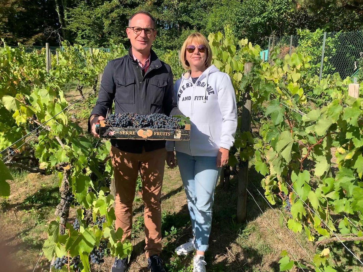alexandrepueyo's tweet photo. C’est les #vendanges à #Jouy 🍇
Comme chaque année c’est un plaisir de participer à ces traditionnelles vendanges.
Le cépage #Braco fait aussi parti de notre patrimoine, pour le fameux vin 🍷 local, le #Ginglet
#jouylemoutier #cergypontoise #vin #valdoise #cergy2 #vignes https://t.co/iw9txZqhCw