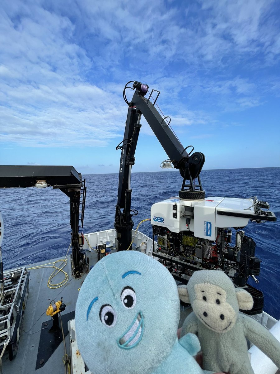 deepbaseline's tweet photo. Tomorrow we will be at #CIIMARopenday2022 in Matosinhos! Come meet our researchers and find out how we study #deepsea species and habitats, from exploration w/ #ROVs, to #taxonomy and #eDNA. We have activities for all ages! 😊
#OceanConservationFUND
Info: https://t.co/8jefJPlija https://t.co/EsVrpVVpVa
