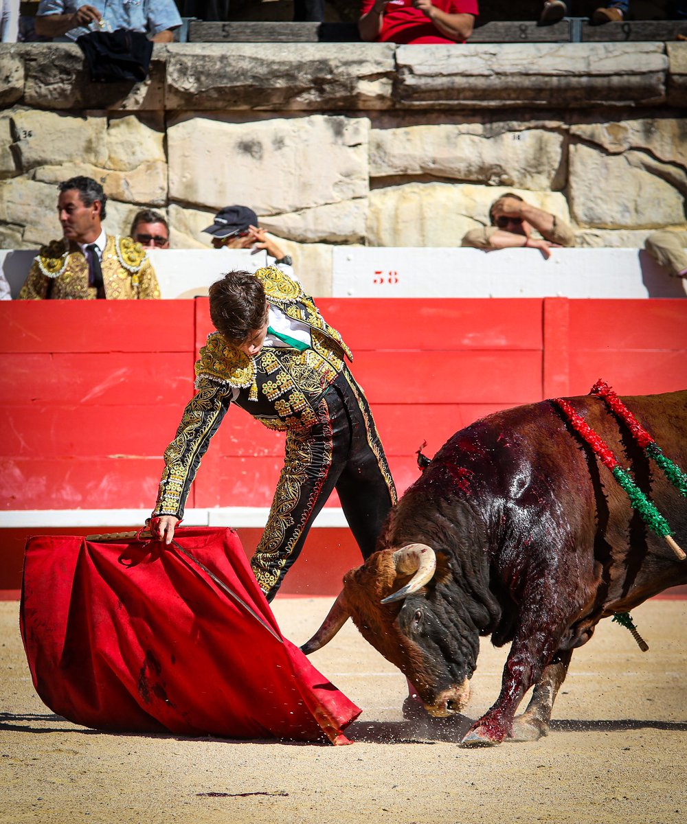 DIRECT // Christian Parejo coupe la première oreille de la matinée devant « Majoleto », applaudit à l’arrastre. <a href="/ChristianPrjo/">Christian Parejo</a>