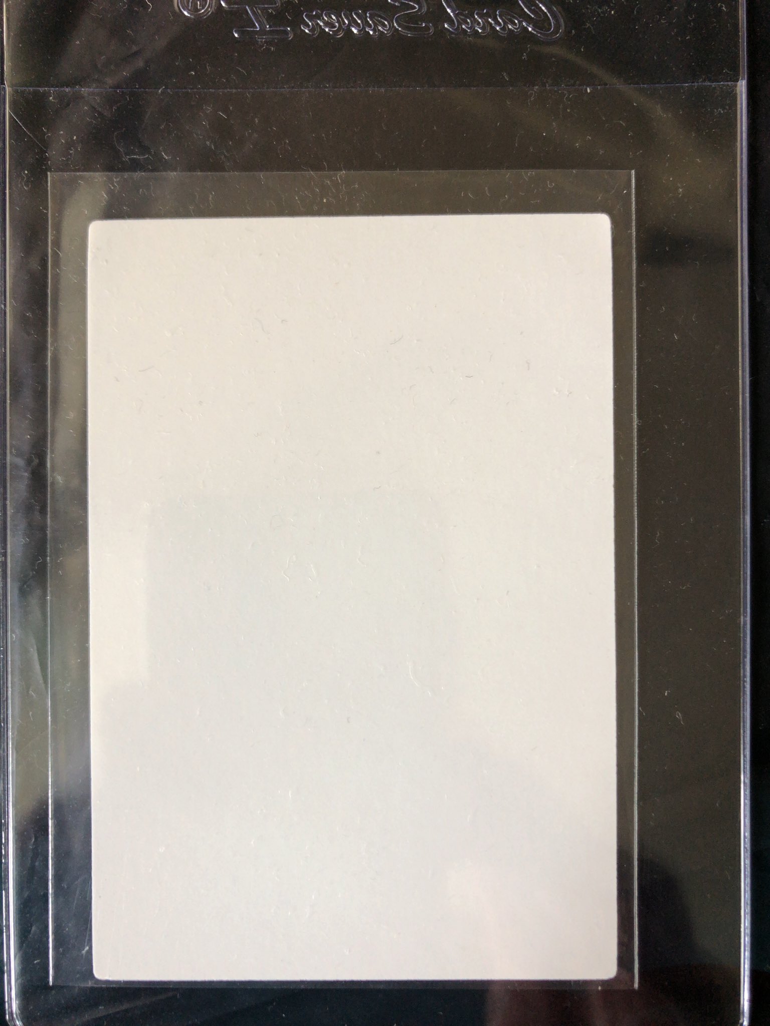 グランドホールセール 珍品】mtg フィラーカード マジック：ザ・ギャザリング