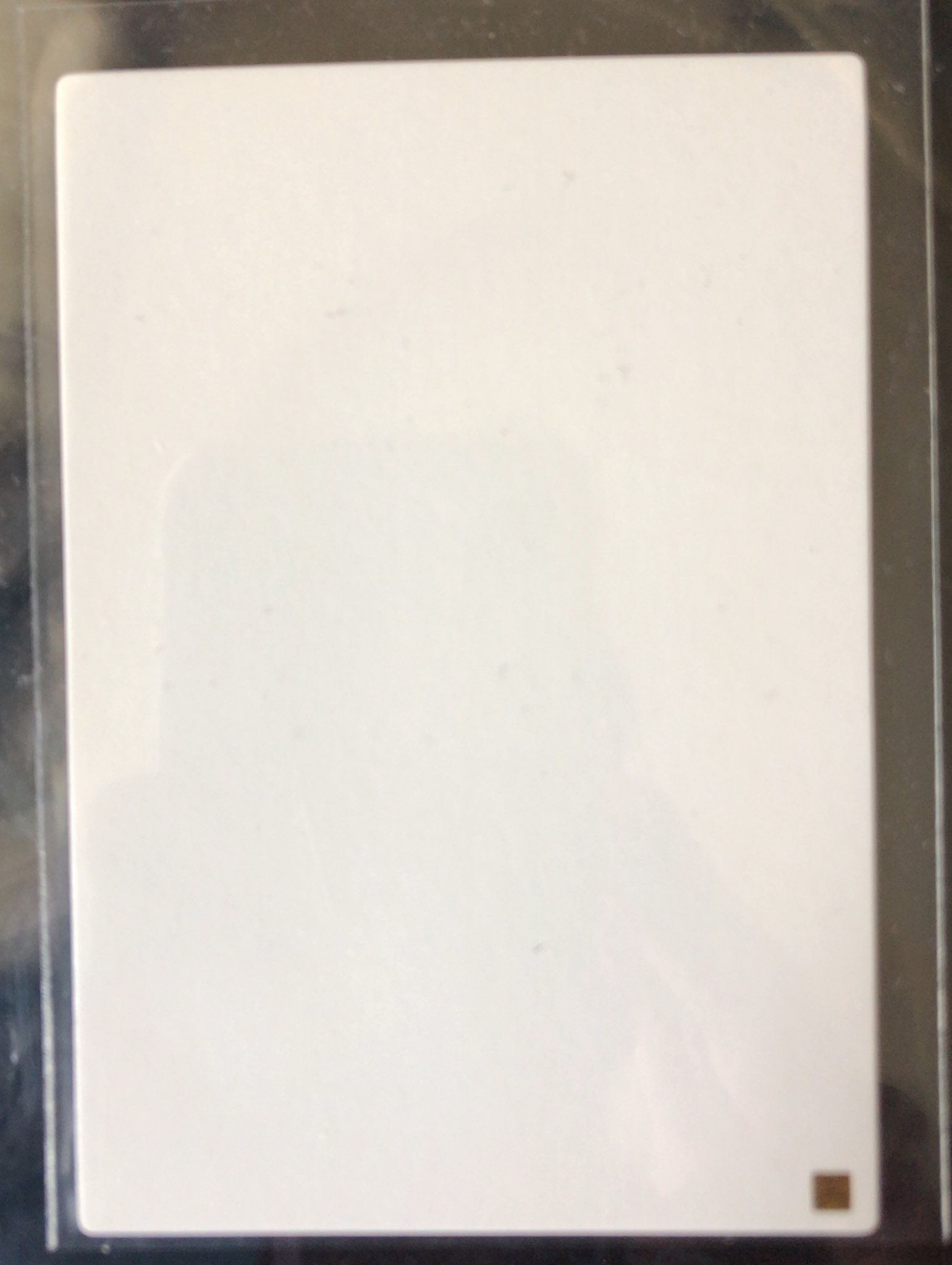 珍品】mtg フィラーカード