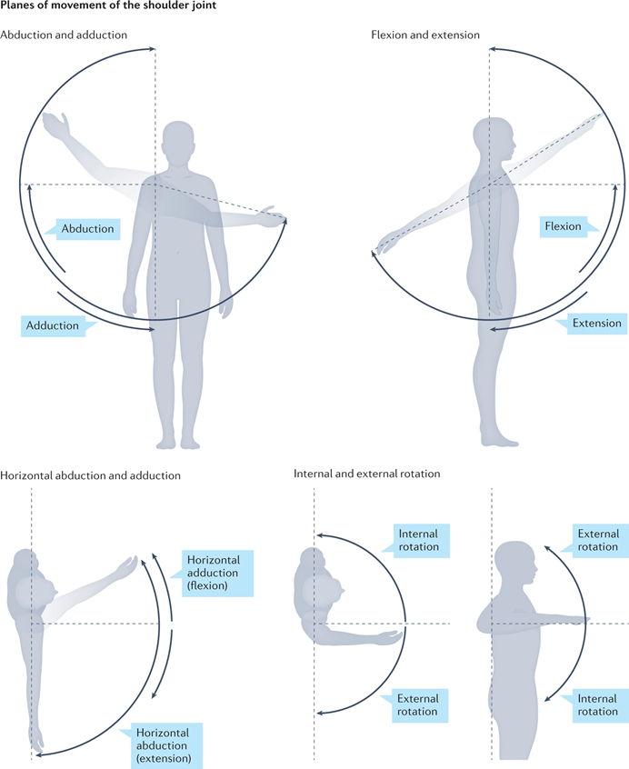 DrAiLynTan's tweet photo. Excellent review on frozen #Shoulder 

3 stages
1⃣Inflammatory or freezing: Gradually worsening pain, later decreased motion
2⃣Frozen: Stiffness, minimal synovitis
3⃣Thawing: Improvement in motion &amp; pain

👉🏽https://t.co/xZmBunP2kt
via @DiseasePrimers https://t.co/xIY9MMaIVT