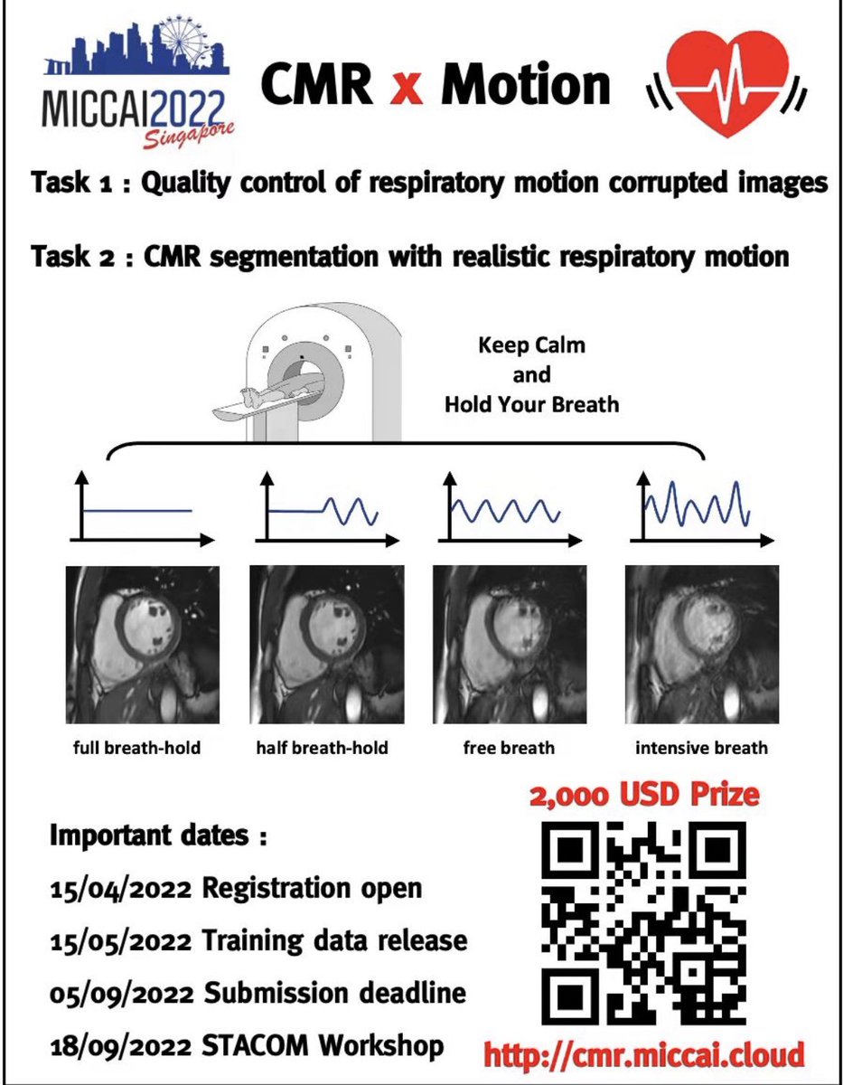 co7301's tweet photo. Aiming for robust and accurate cardiac MRI analysis under respiratory motions! Please check our @cmrxmotion CMRxMotion challenge session at 13:30-15:00 in conjunction with #STACOM workshop on Sep. 18 #MICCAI2022 @wangshuo26 @Chen_Qin615 @WenjiaBai @cherise_go https://t.co/SmArDJNYPW