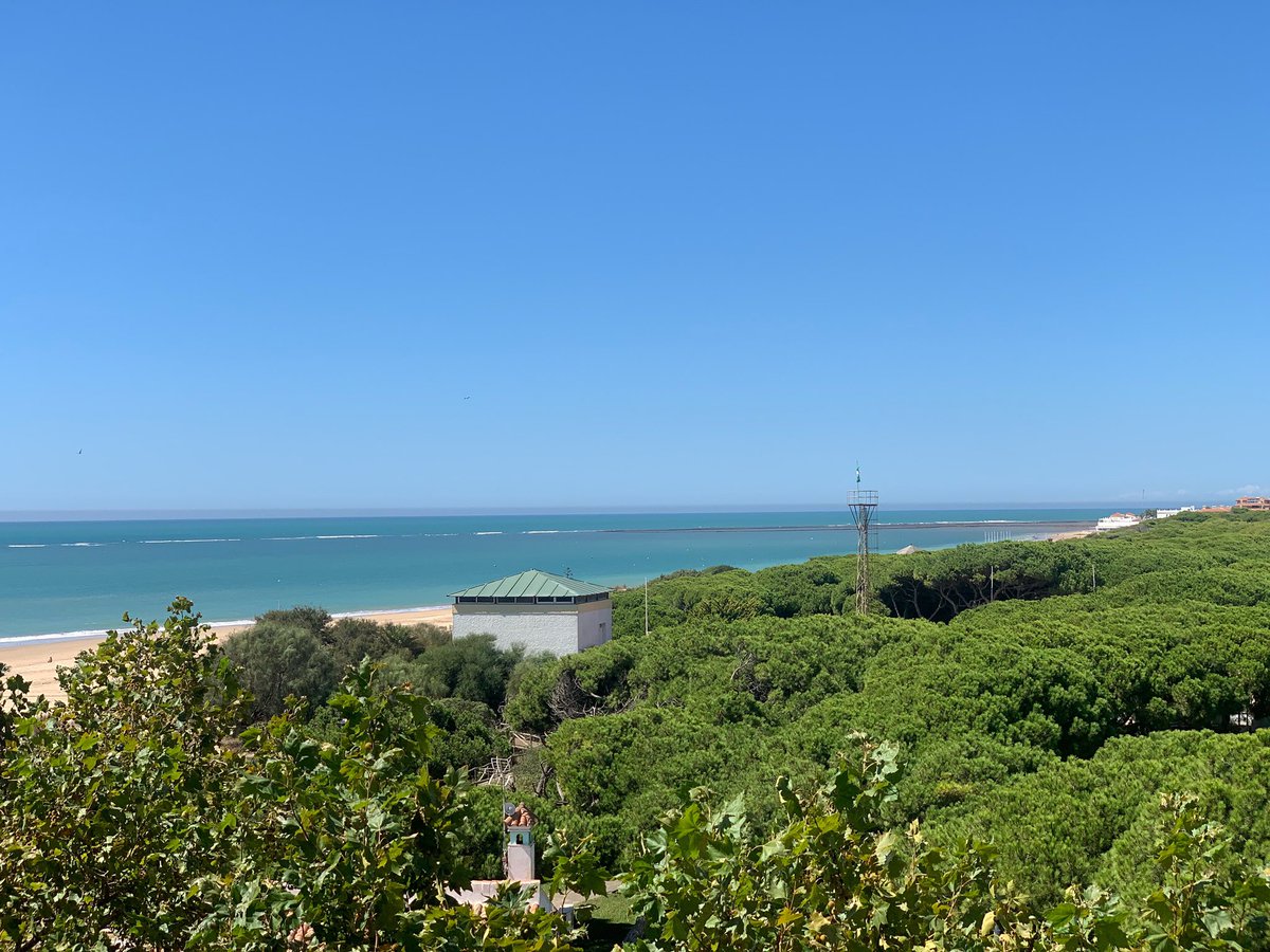 TurismoRota's tweet photo. Vistas con mucho encanto a la #playaderota #pinaresderota para desearos un #felizsabado #findesemana
.
#descubrerota #disfrutarota #rotasabeafelicidad
.
Happy #saturday with these amazing #views to the #rotabeach #rotaspain 🤗
.
#discoverrota #rotathetasteofhappiness https://t.co/cfGBZyQvgn
