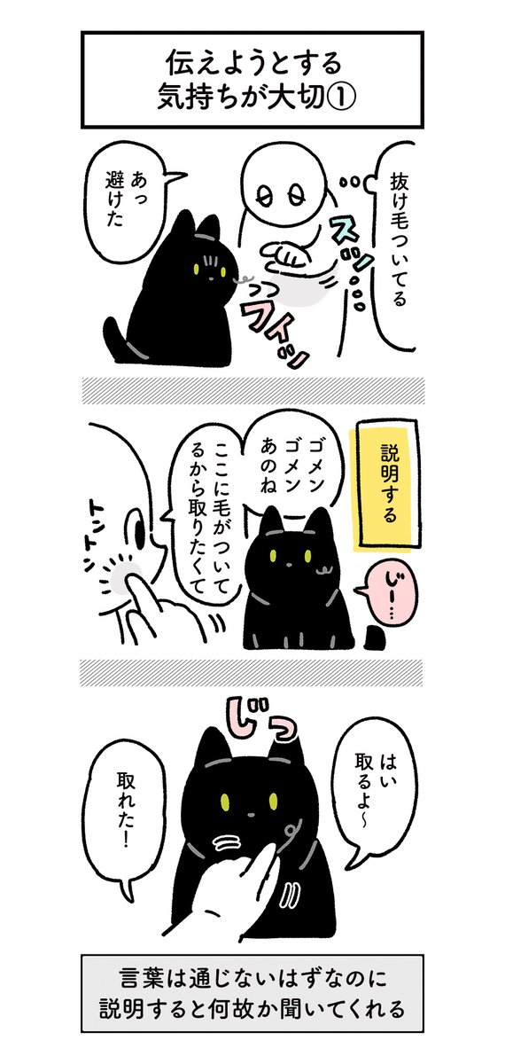 ねこに人間の言葉で丁寧に説明してあげるとちゃんと聞いてくれるしなぜか普通に通じるよね…不思議だよね…という絵日記(3まいある) #ろんの絵日記 