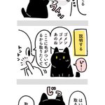 まるで人間の言葉を理解しているかのよう･･･!愛猫とのやり取りを描いた猫漫画が話題に!