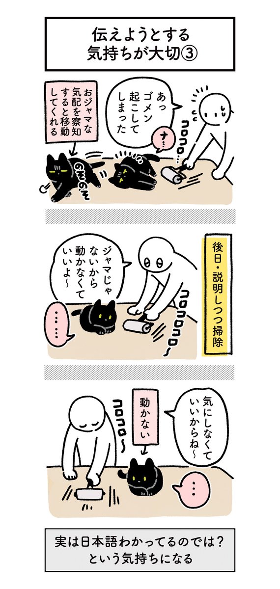 ねこに人間の言葉で丁寧に説明してあげるとちゃんと聞いてくれるしなぜか普通に通じるよね…不思議だよね…という絵日記(3まいある) #ろんの絵日記 