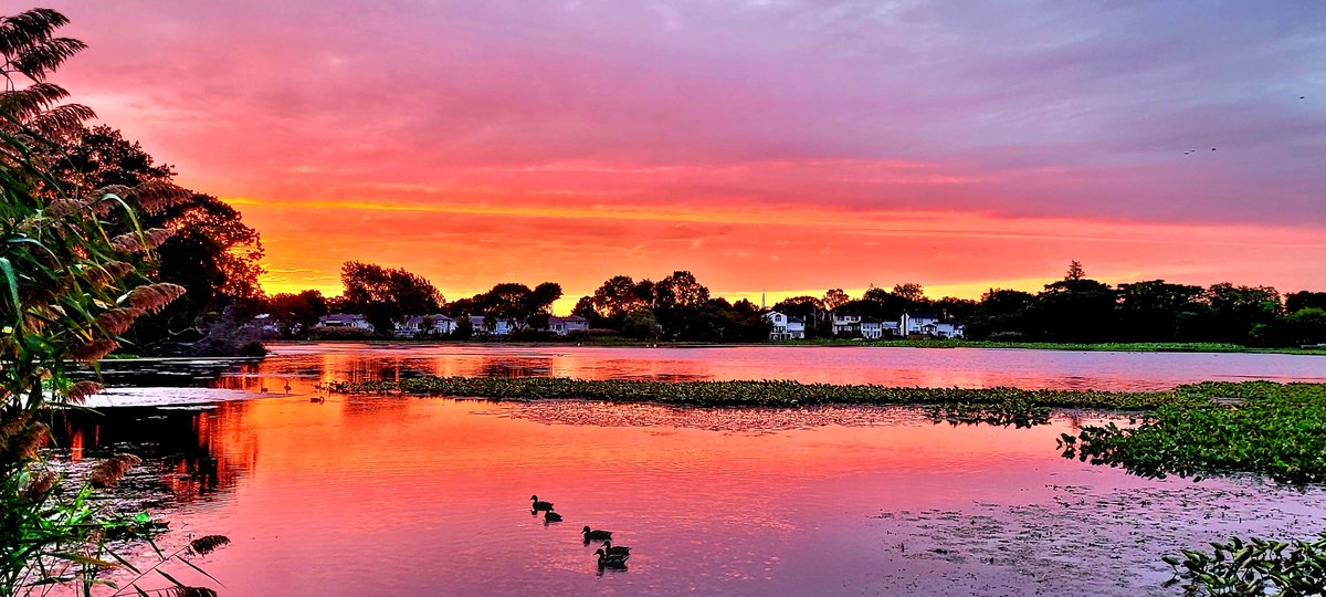 Dan Fliller tweet media