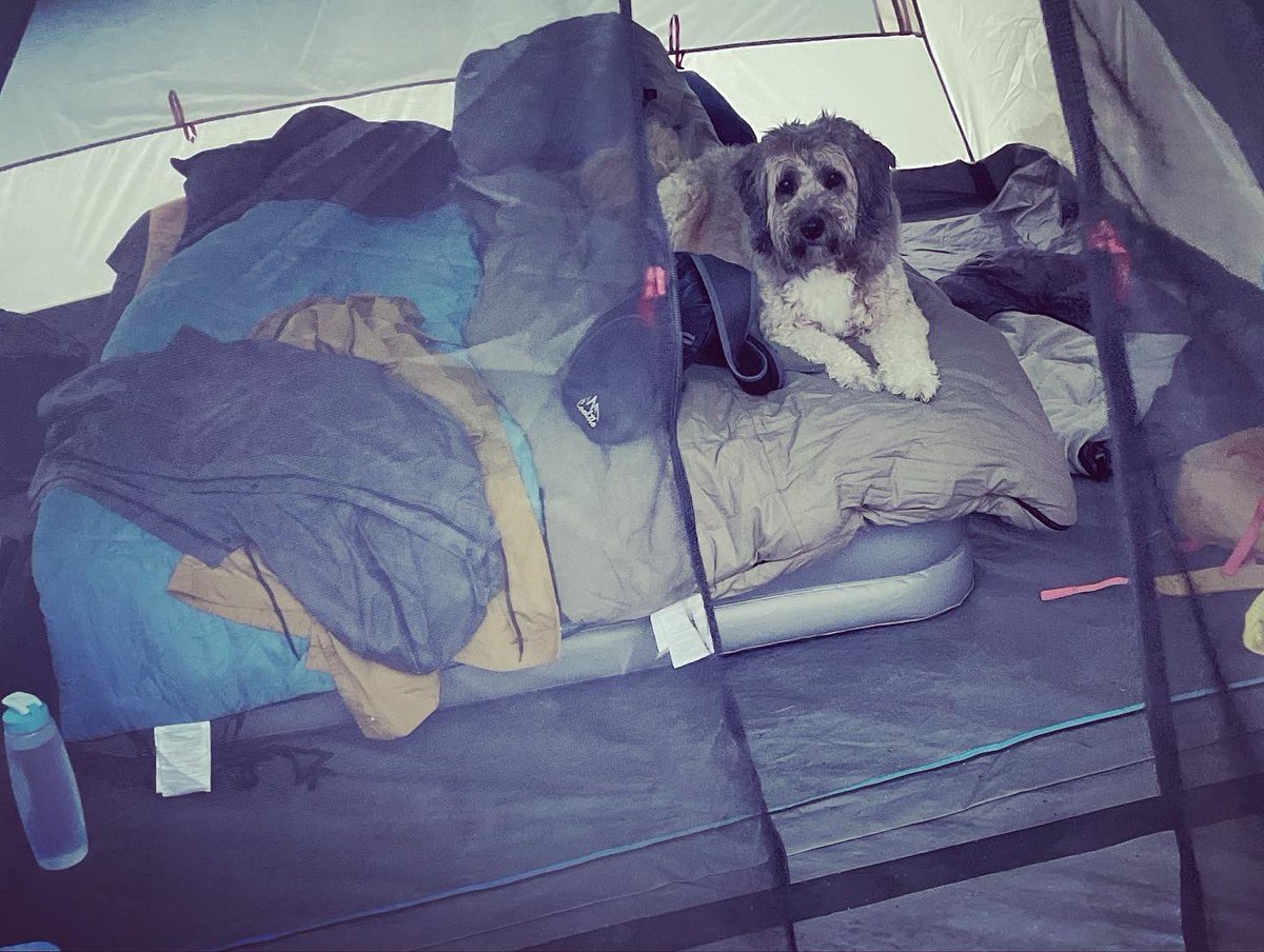 It’s a bit colder (and windier) but we’re back in the tent! Hi Butterpot Park!