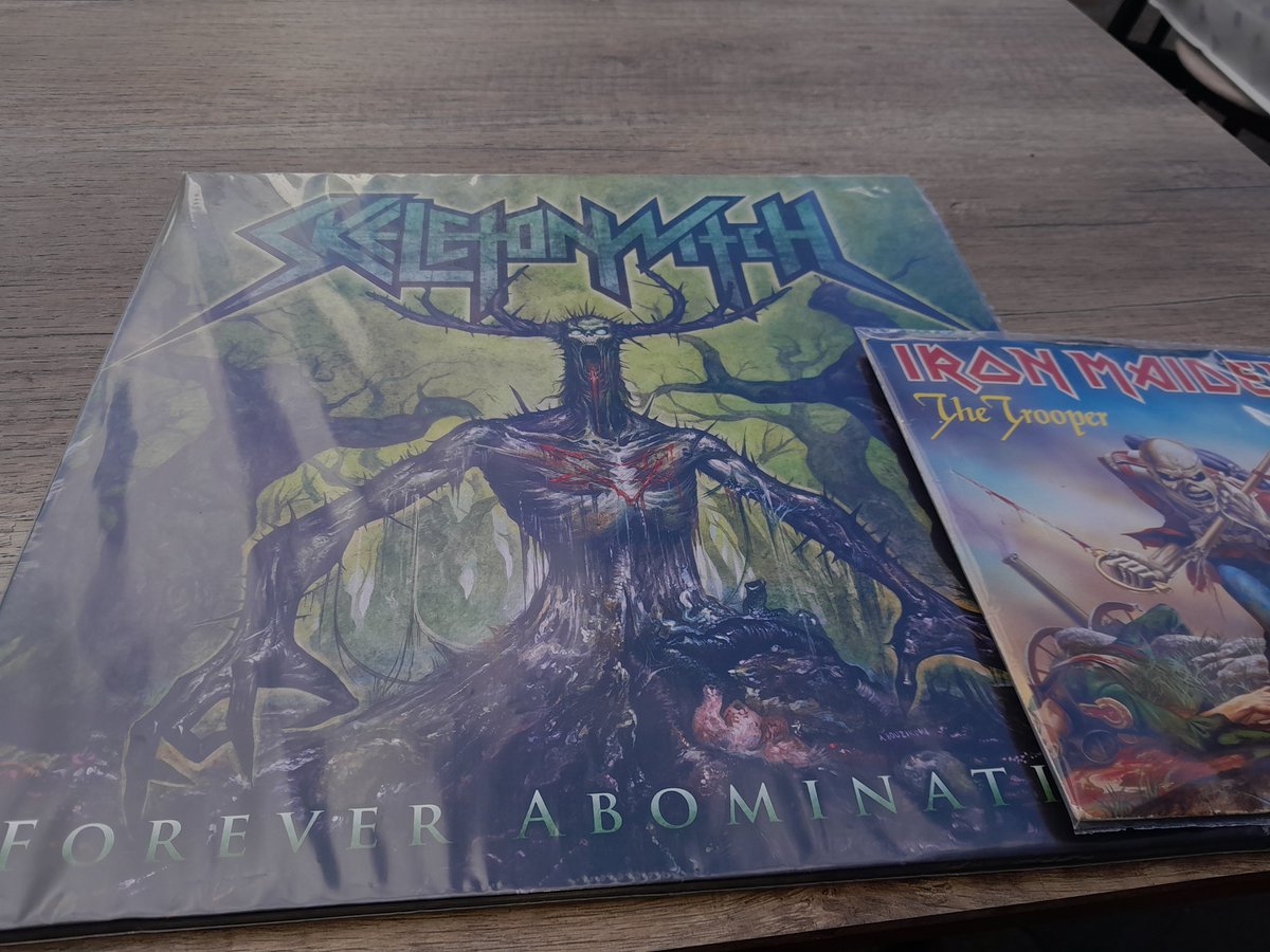 FearSlayer13's tweet photo. Out and about shopping, stumbled on a record store #skeletonwitch #ironmaiden #heavymetalvinyl 🤘 https://t.co/gwOnYMHbJh