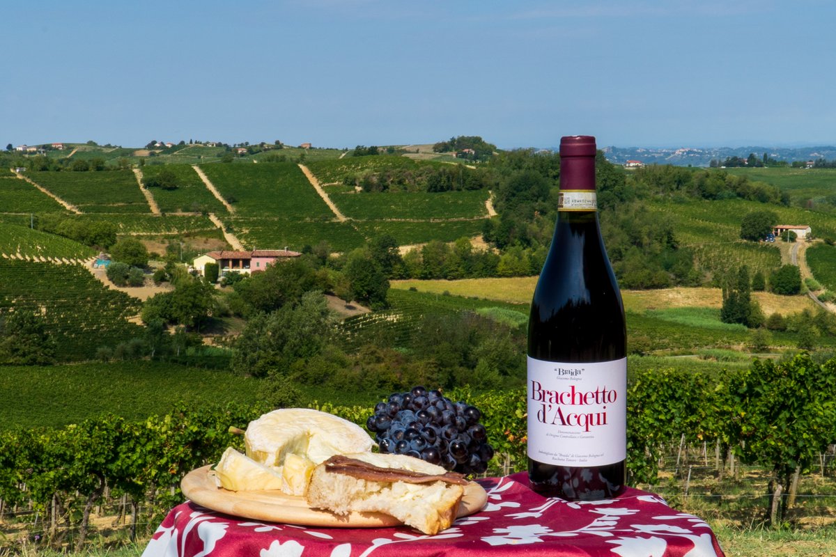 BrachettodAcqui's tweet photo. Quali sono le fortune di vivere coi vigneti a 2 passi da casa?
-Puoi pranzare tutti i giorni con una vista così
- Ottimo vino a km 0 @braidawines 
-Tanto relax in mezzo a natura contaminata
Potete acquistarlo qui
https://t.co/iQZvGKEqIU

#brachettodacquidocg #monferrato #piemonte https://t.co/MNFiOTKtiO