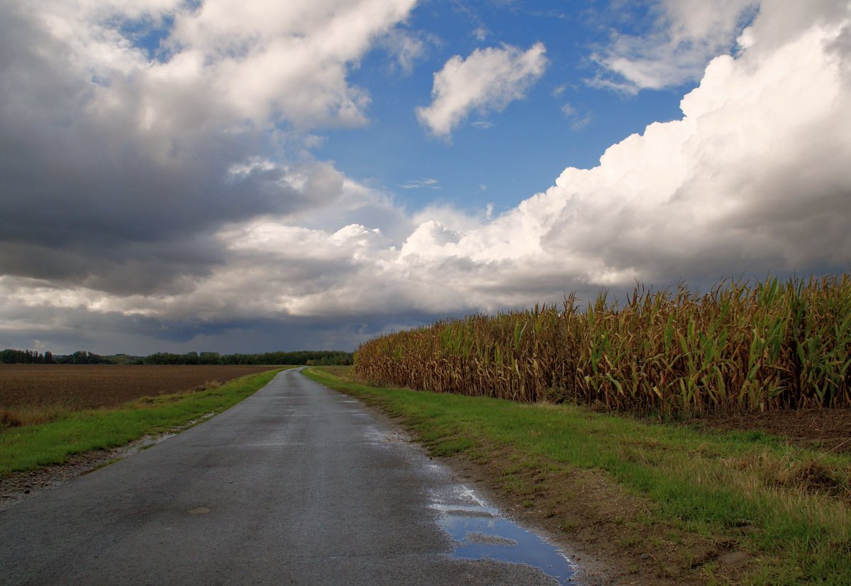 David V.D Smissen tweet media