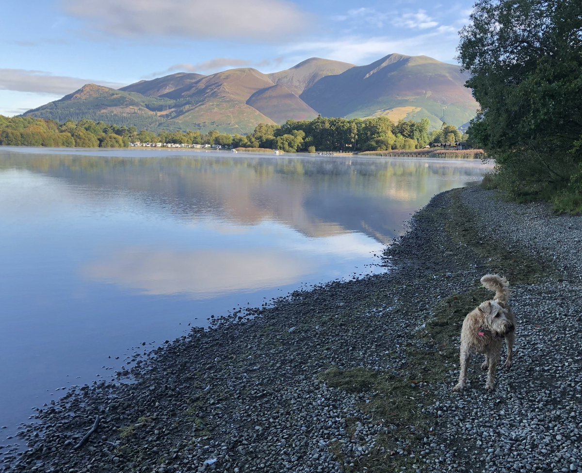 Hi furpals.Cold paws, frost on ground but great scenery at Derwentwater. Have a luffly day 🐕🐾