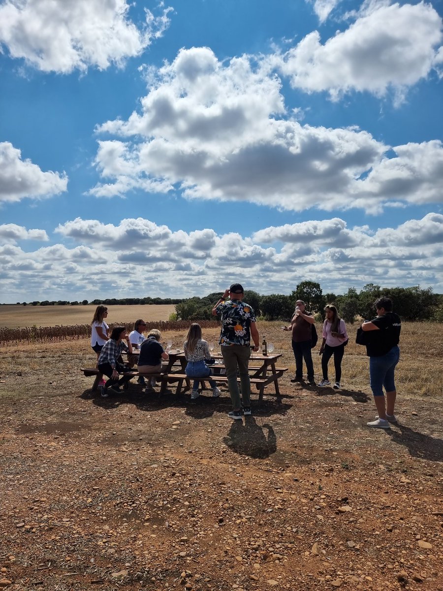 DivinosSabores tweet media