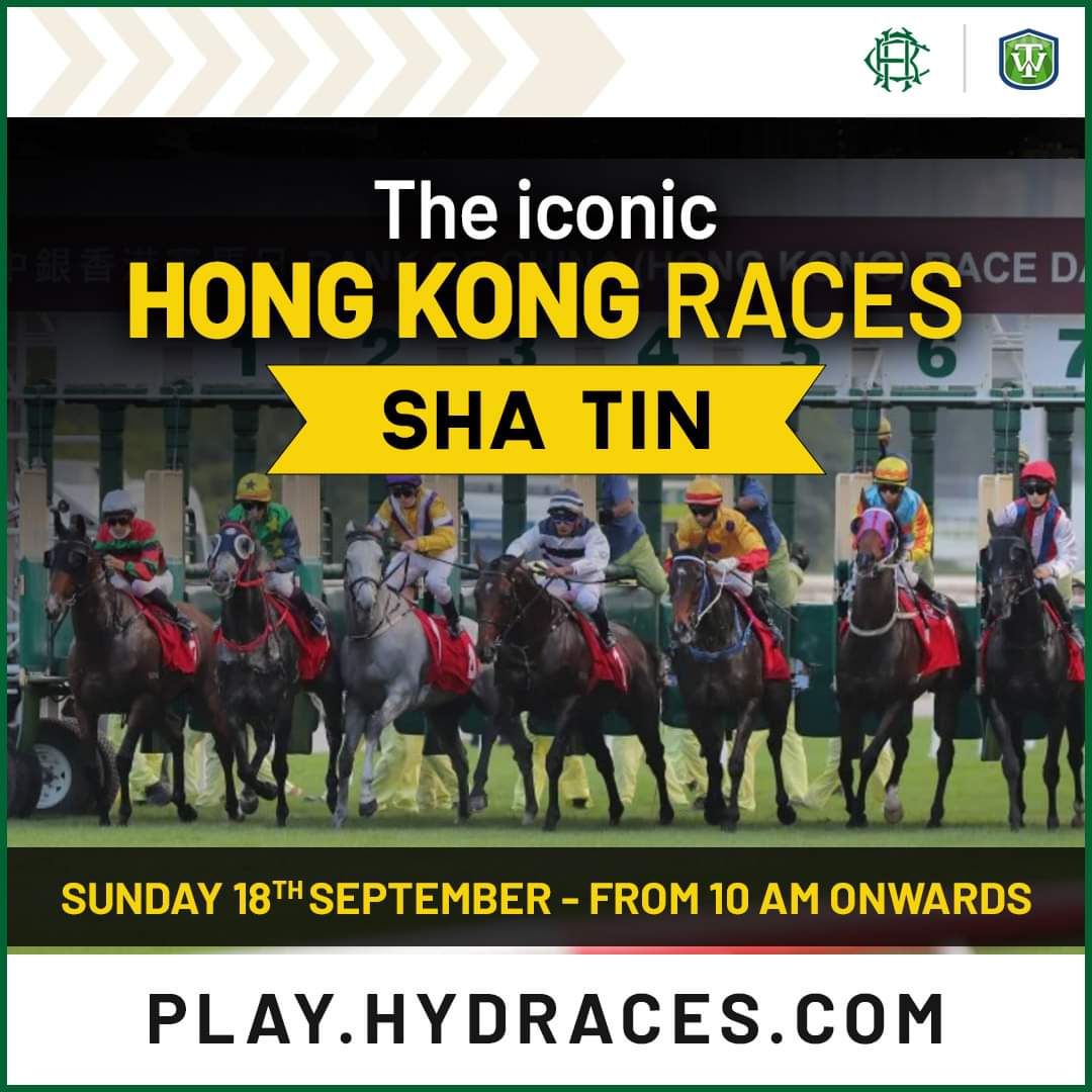 MyTurfWinners's tweet photo. Be in the races at the world’s best tracks. 

Play @ https://t.co/UXI7CsEtkD

#hongkongraces #ShaTin #hyderabadraces #fenyxxgamingconsultants #TurfWinners https://t.co/i0JL8QbWr5