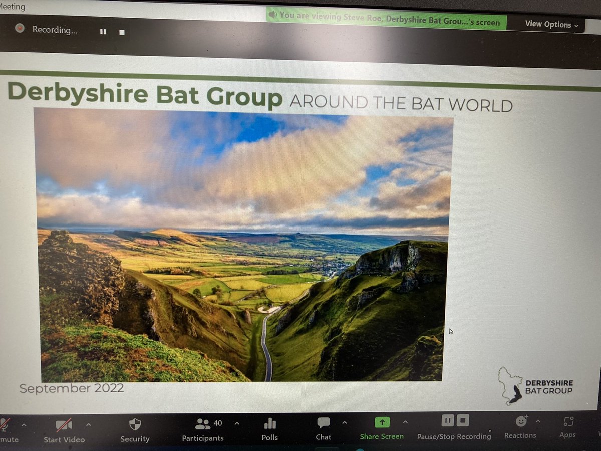 bats_w_borders's tweet photo. Talk 6 - @SteveRoeBatMan talks about the great work carried out by a very active and vibrant 38 year old @derbyshirebats - lots of opportunities with a network of caves and historical buildings #roost counts #walks and #talks and benefits of lots of #batdata ๐ฆ #batworld https://t.co/z7Lm2w629d