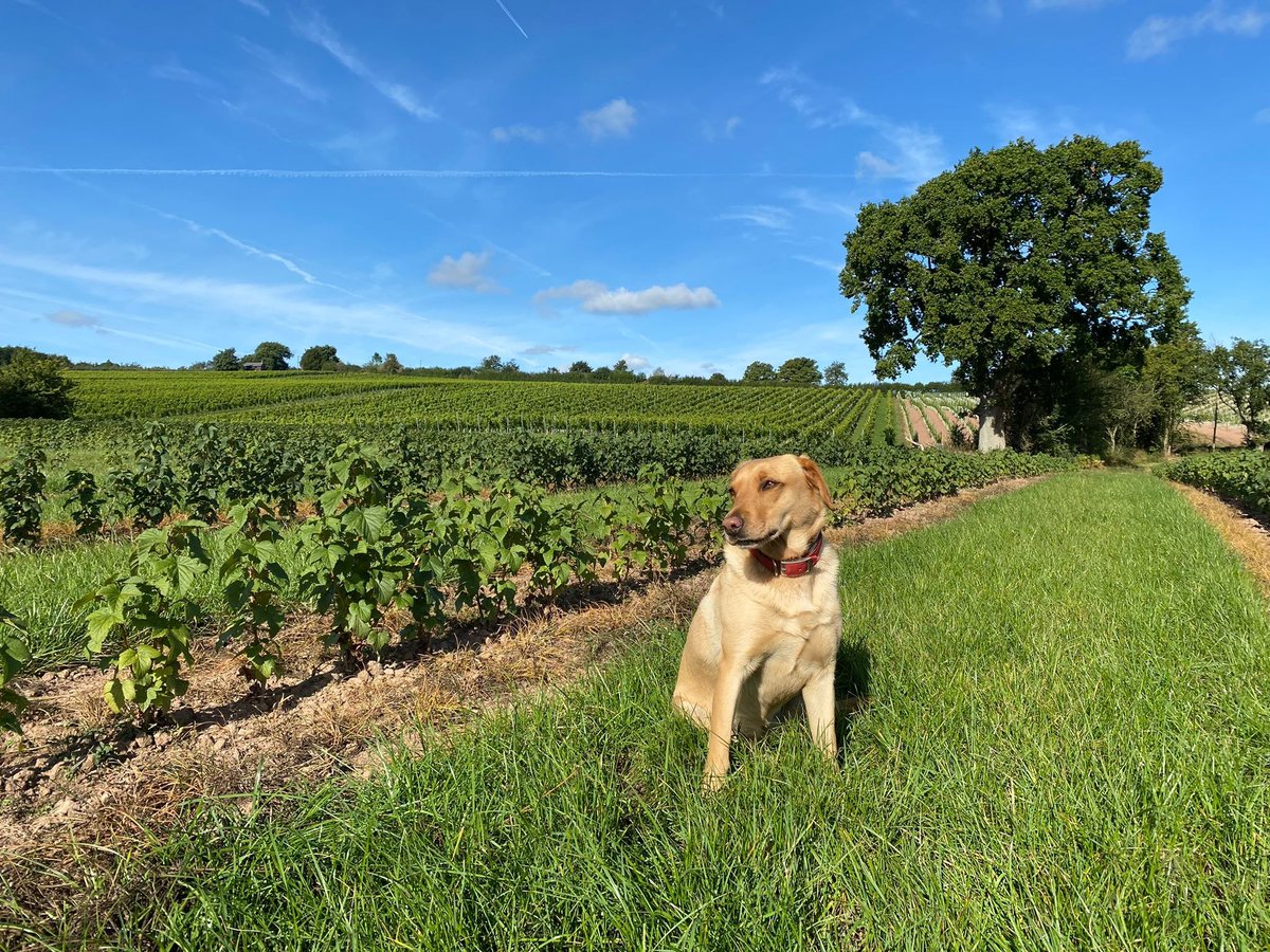 Beautiful day on the farm today!